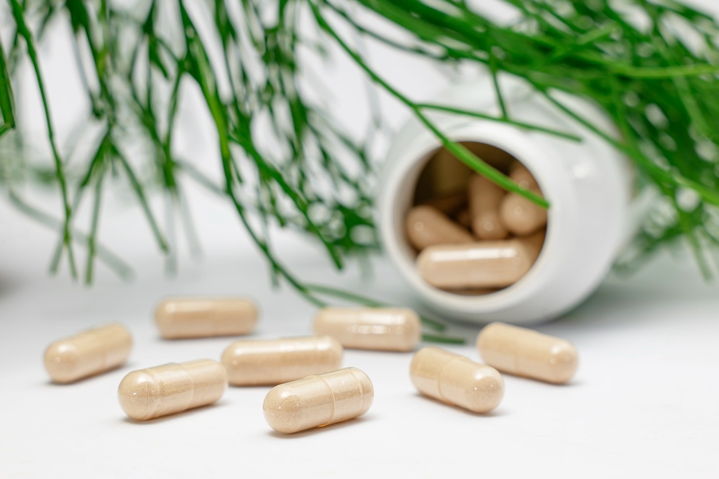 El impacto de la nutrición en tu concentración
